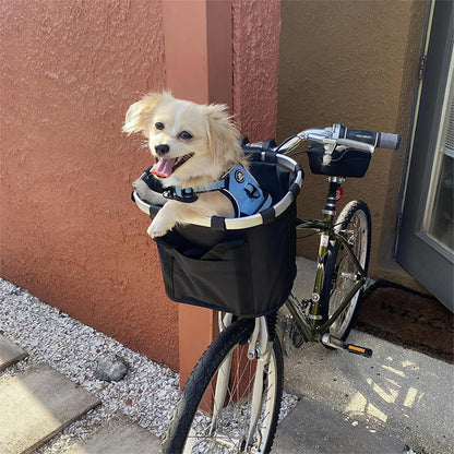 Velo-panier-avec-petit-chien